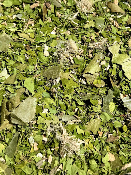 Cleansing Lungs ~ Respiratory, Digestive & Immunity Loose Leaf Herbal Tea Blend