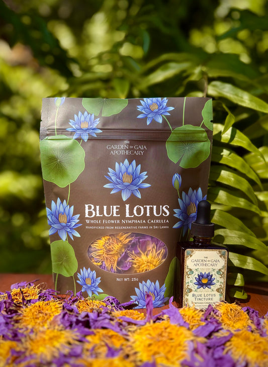 Blue Water Lily Flowers (Whole flower)