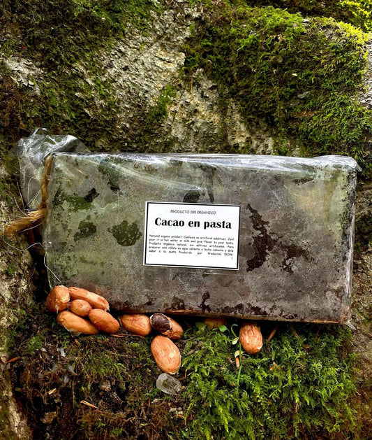 Ceremonial Grade Costa Rican Cacao - Bribri block in nature with cacao beans and moss background.
