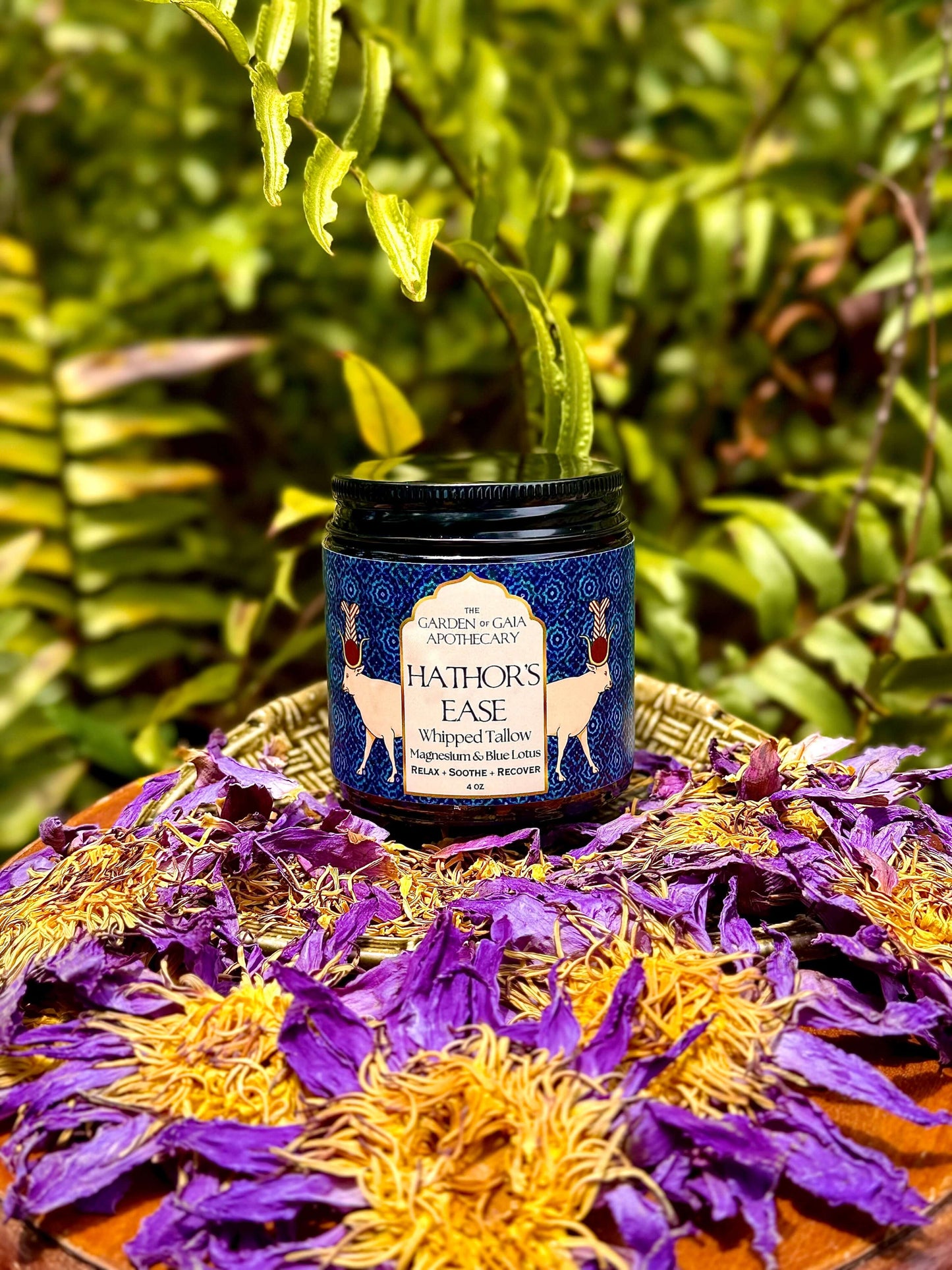 A jar of Hathor's Ease, Magnesium and Blue Lotus - side view 2. sits on a woven tray surrounded by dried lotus flowers, with a blurred green fern background.