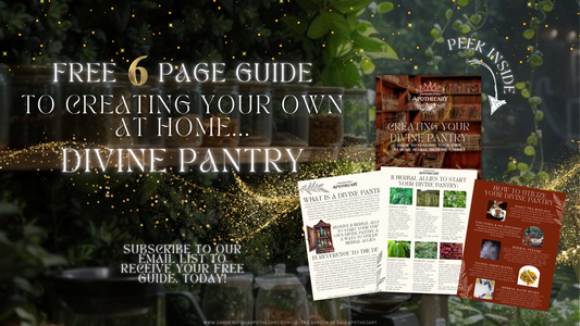 Free Guide- Creating your own Divine Pantry