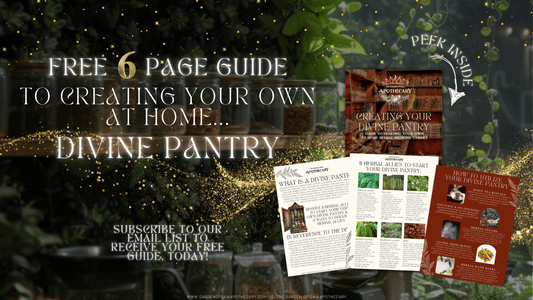 Free Guide- Creating your own Divine Pantry