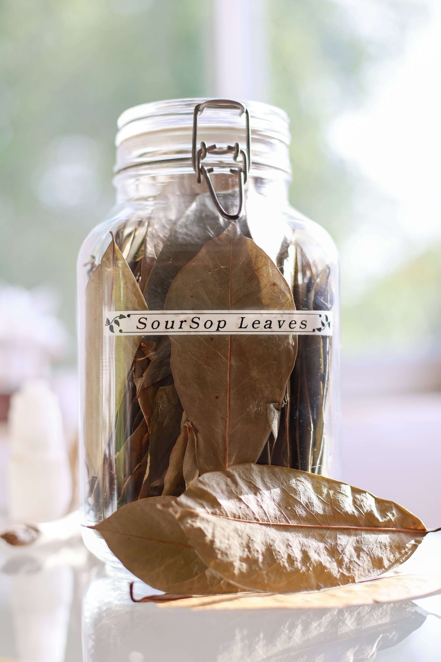 Soursop Leaves-organic whole leaves in a glass jar showcasing their natural appearance.