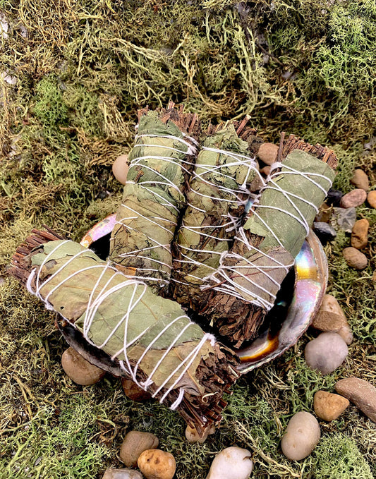 Lemon Balm & Peppermint Smudge Stick arranged on a dish surrounded by natural elements.