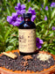 Elderberry Syrup ~ Immunity Boosting Elixir