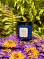 Hathor's Ease ~ Blue Lotus & Magnesium ~ Whipped Tallow Balm