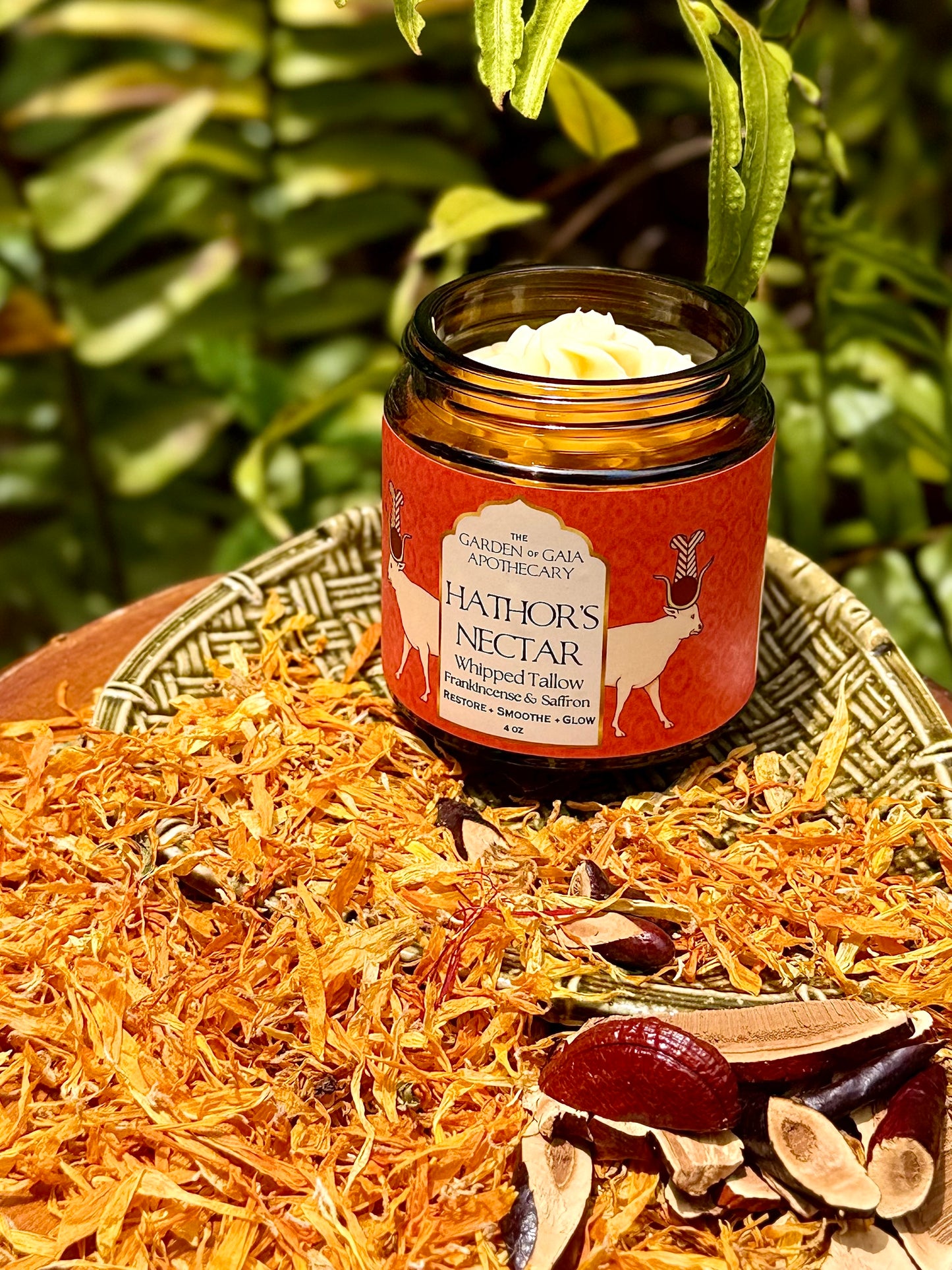 Hathor’s Nectar ~ Frankincense & Saffron ~ Whipped Tallow Balm
