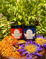 “Hathor’s Ritual Collection” ~ Herbal Whipped Tallow Balm Bundle