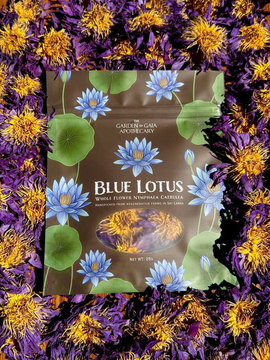 Blue Water Lily Flowers (Whole flower)