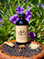 Elderberry Syrup ~ Immunity Boosting Elixir