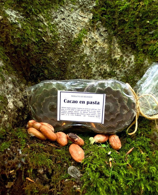 Ceremonial Grade Costa Rican Cacao - Bribri displayed on moss with cacao beans and wrapped in plastic.
