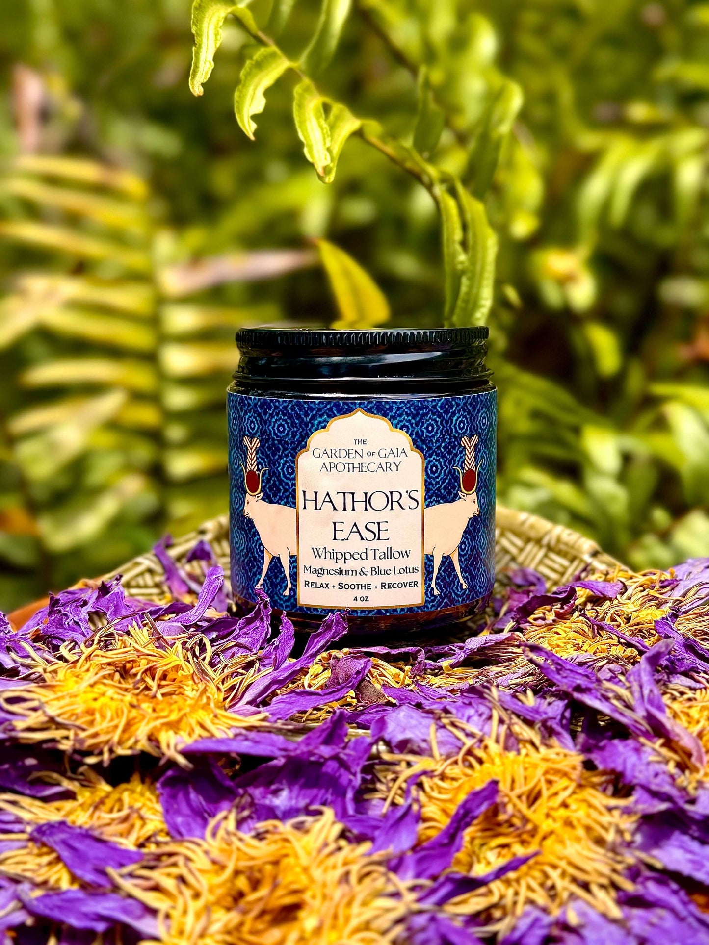 A jar of Hathor's Ease, Magnesium and Blue Lotus - front view. sits on a woven tray surrounded by dried lotus flowers, with a blurred green fern background.