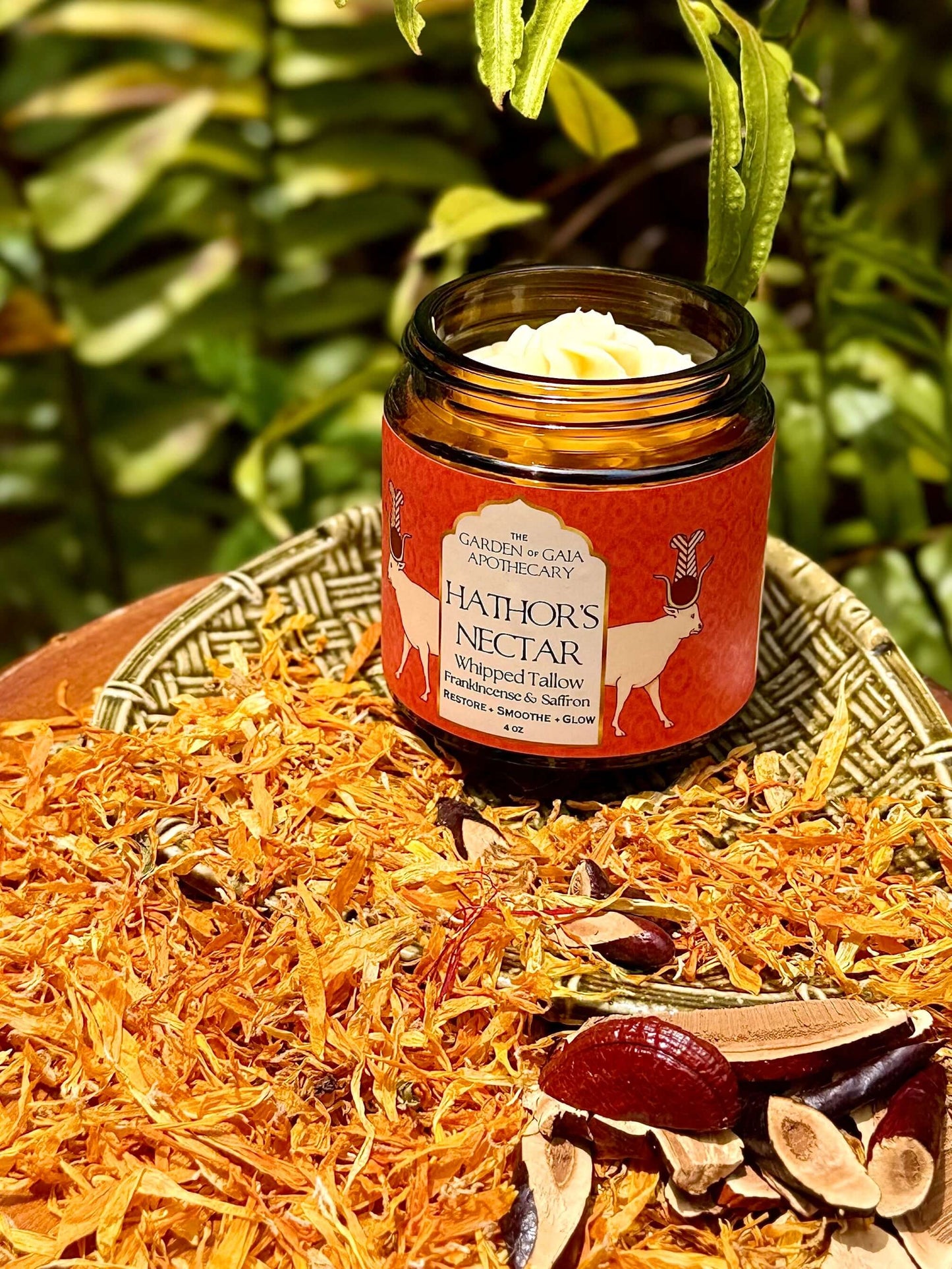 A jar of Hathor's Nectar, Saffron and frankincense tallow- front view. sits on a woven tray surrounded by dried herbs and botanicals, with a blurred green fern background.