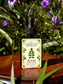 Moringa Tincture - superfood herbal tincture bottle on a wooden surface surrounded by greenery and flowers.