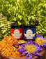 Two jars of Harthor's Nectar and Harthor's Ease tallow balms by Garden to Gaia Apothecary, styled on a wooden tray with dried reishi mushrooms and lotus flowers against a background of green ferns.