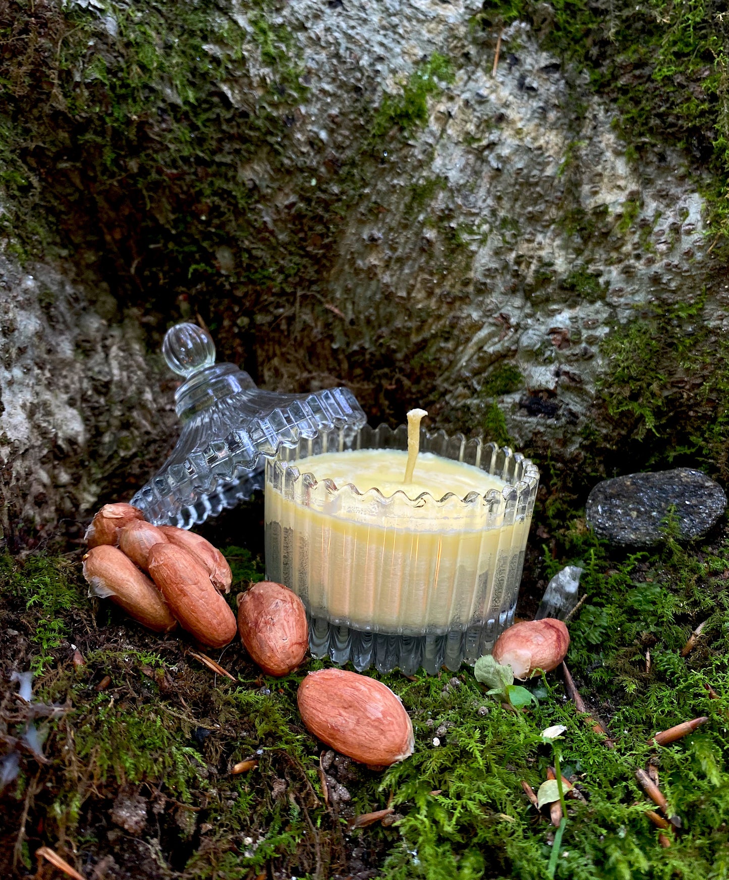 Sensual Cacao Butter Candles: Vanilla Cacao