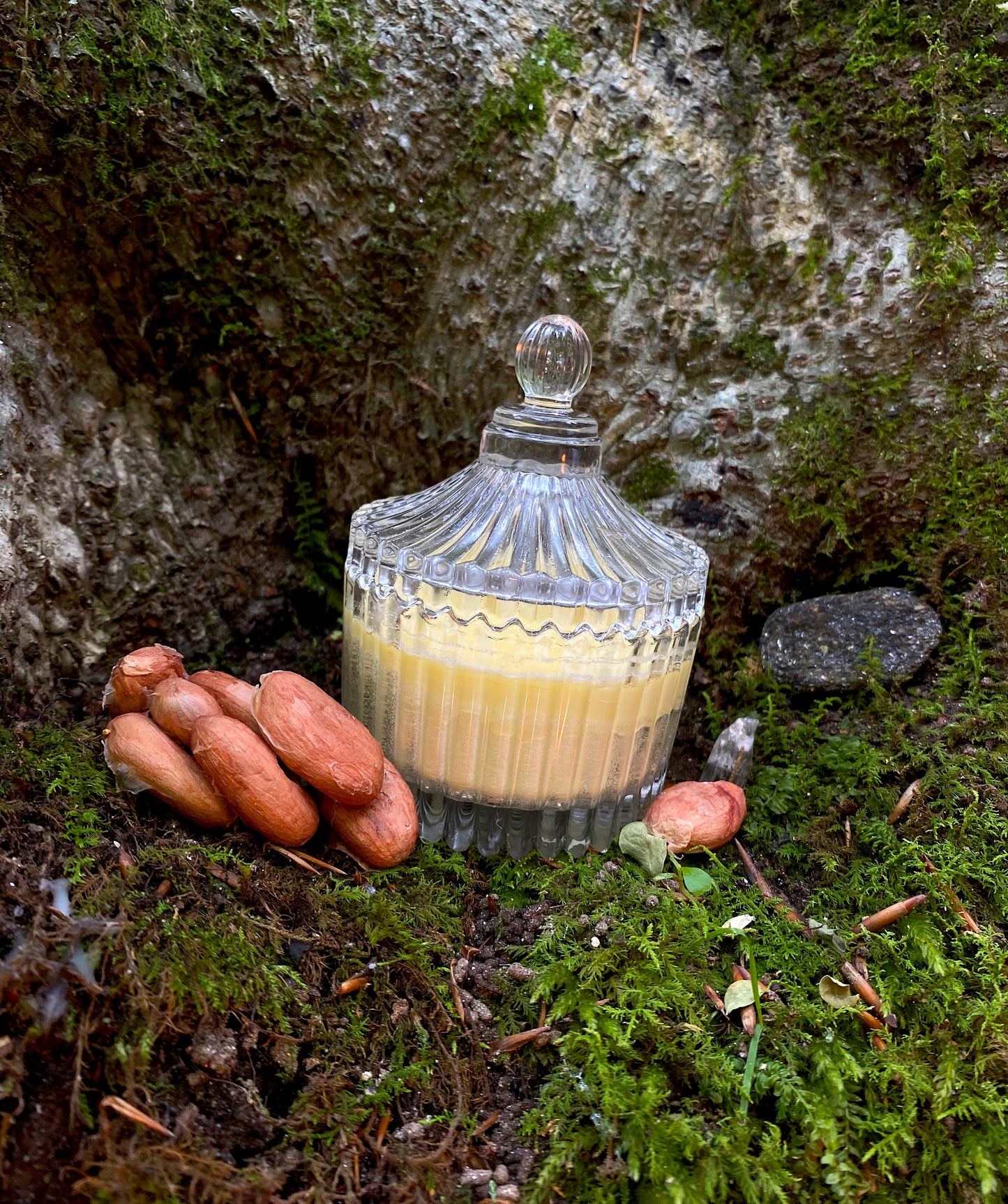 Sensual Cacao Butter Candles: Vanilla Cacao