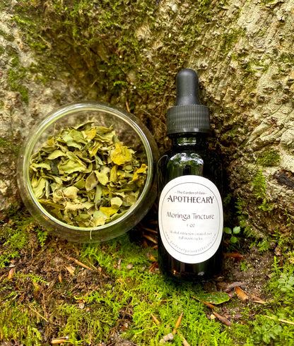 Moringa Tincture