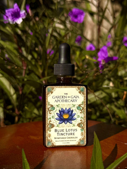 Lotus Trinity Bundle featuring Blue Lotus Tincture from Garden of Gaia Apothecary.