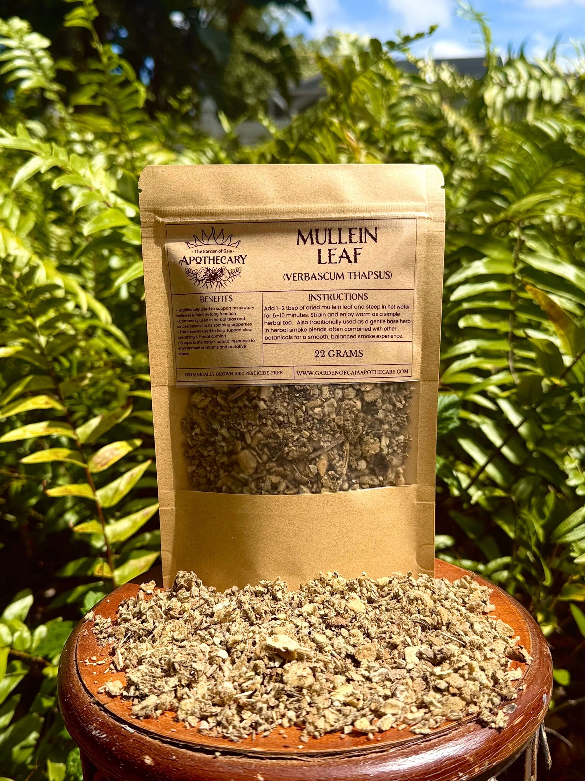 Brown paper bag labeled 'Mullein Leaf' with dried mullein leaves spilling out, set against a green leafy background.