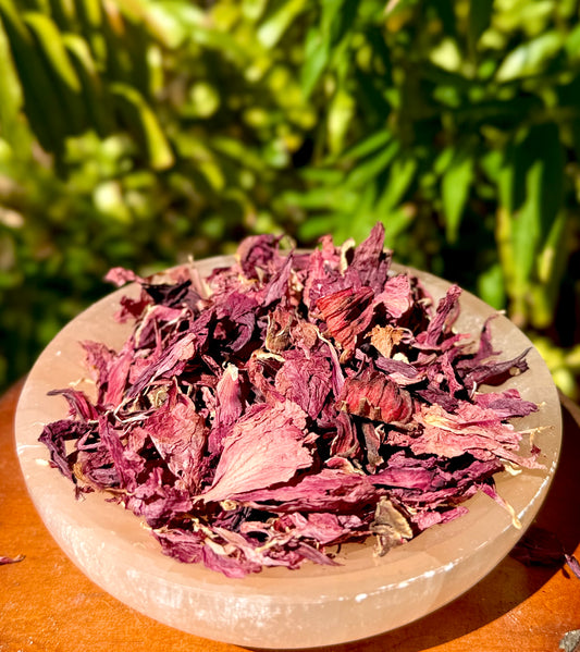 Dried hibiscus leaves in a stone bowl with a natural green background