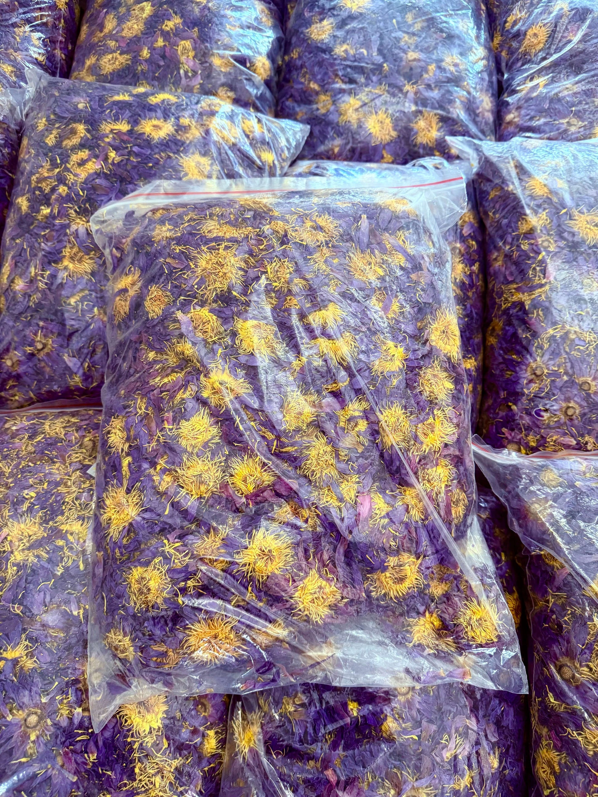 Stack of purple pillows with yellow floral patterns in clear plastic bags.