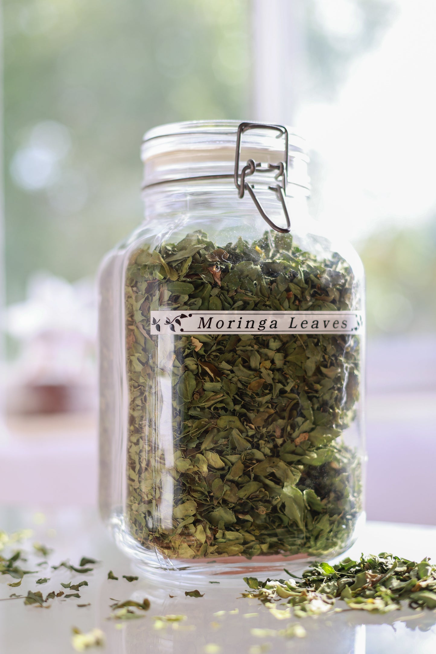 Moringa Leaves