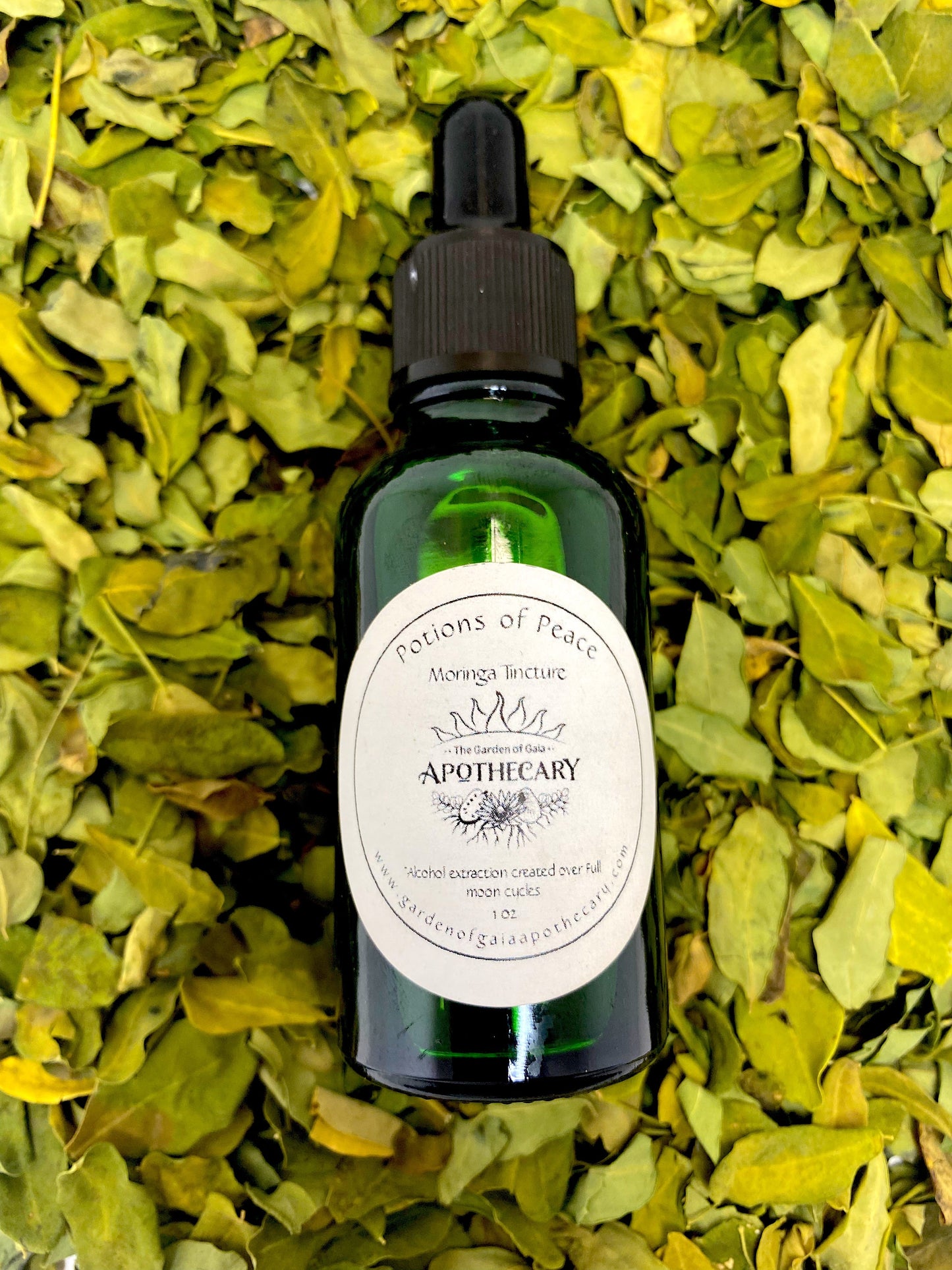 Moringa Tincture