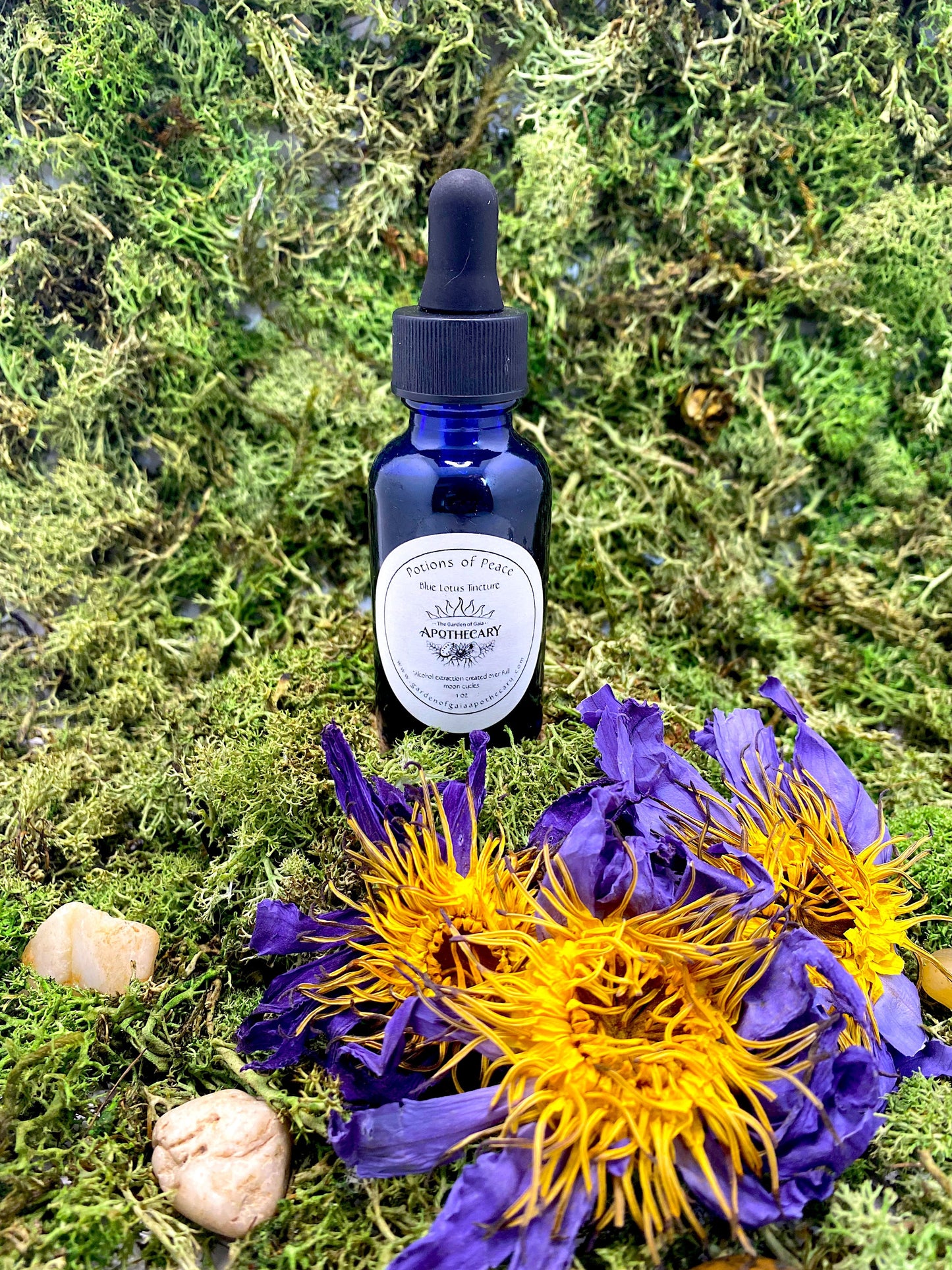 Blue Water Lily Tincture